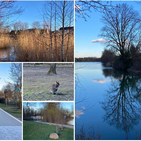 Ferienwohnung Am Jahnteich Weisswasser Esterno foto