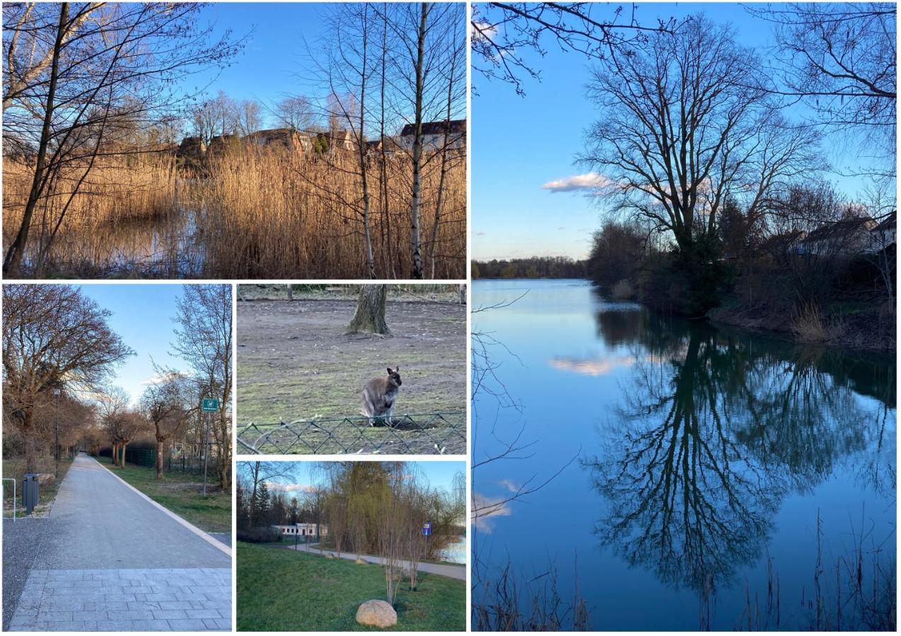 Ferienwohnung Am Jahnteich Weisswasser Esterno foto